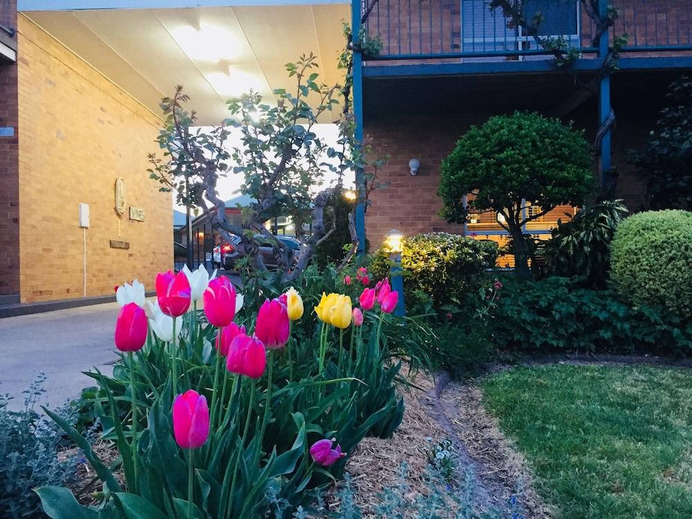 The Vines Motel & Cottages Stanthorpe Εξωτερικό φωτογραφία
