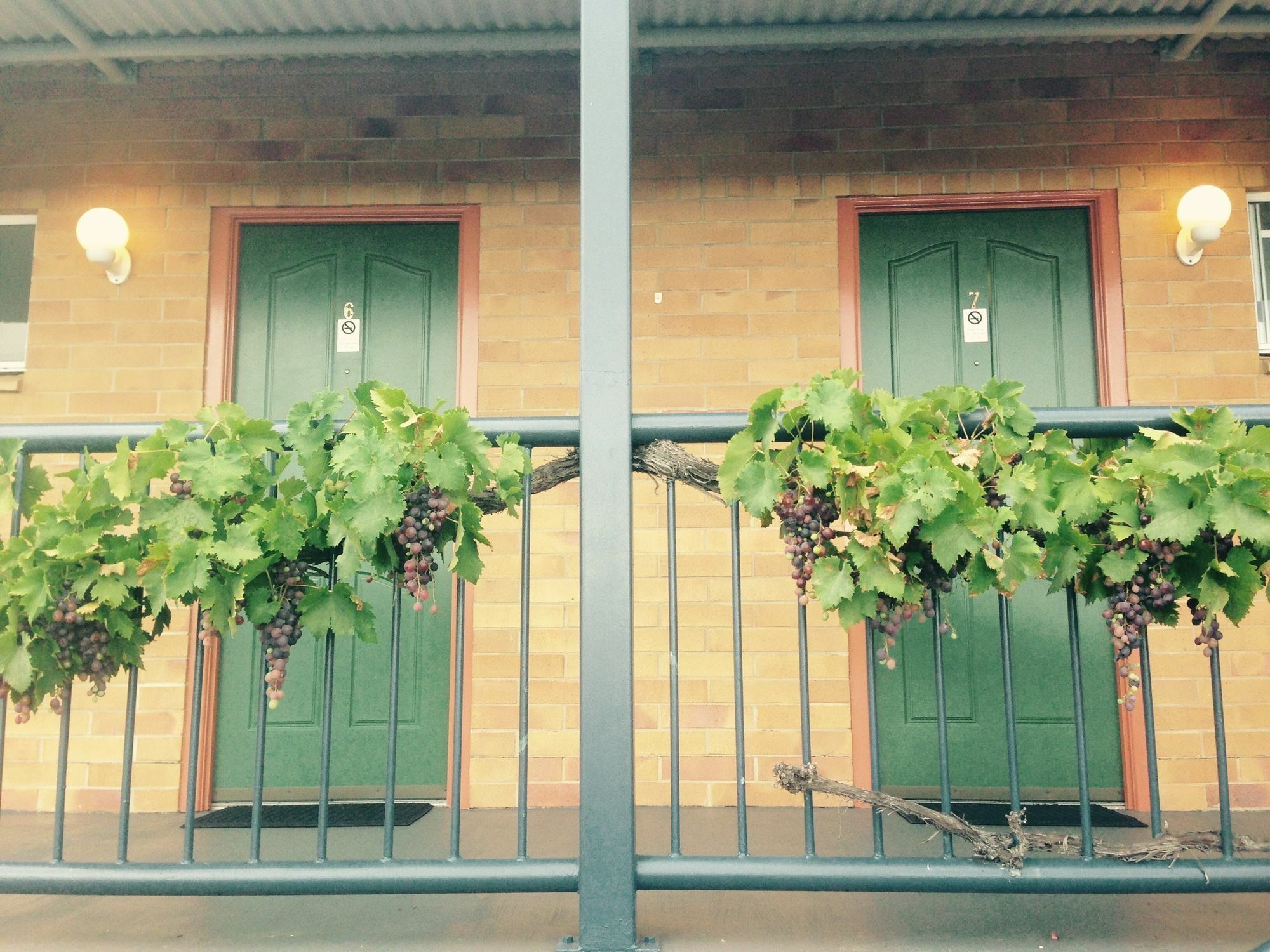 The Vines Motel & Cottages Stanthorpe Εξωτερικό φωτογραφία